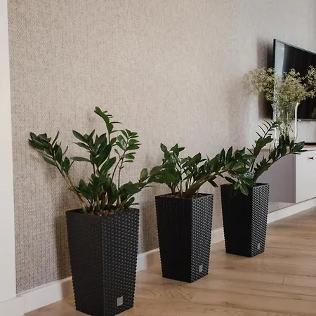 W&k - White&grey - Klimatyzacja, Faktura Vat, Netflix, Parking W Garazu, Blisko Dworca I Centrum Lejlighed