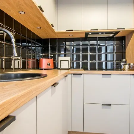 W&k - White&grey - Klimatyzacja, Faktura Vat, Netflix, Parking W Garazu, Blisko Dworca I Centrum * 科沙林